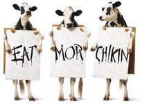 The Chick-Fil-A Cows say Eat Mor Chikin