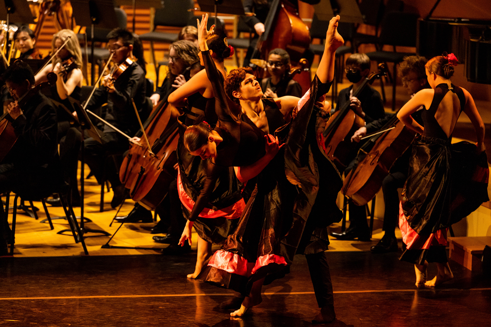 Flamenco ballet dancers