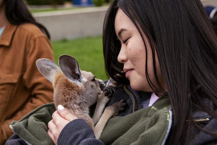 A student snuggles with a kangaroo.