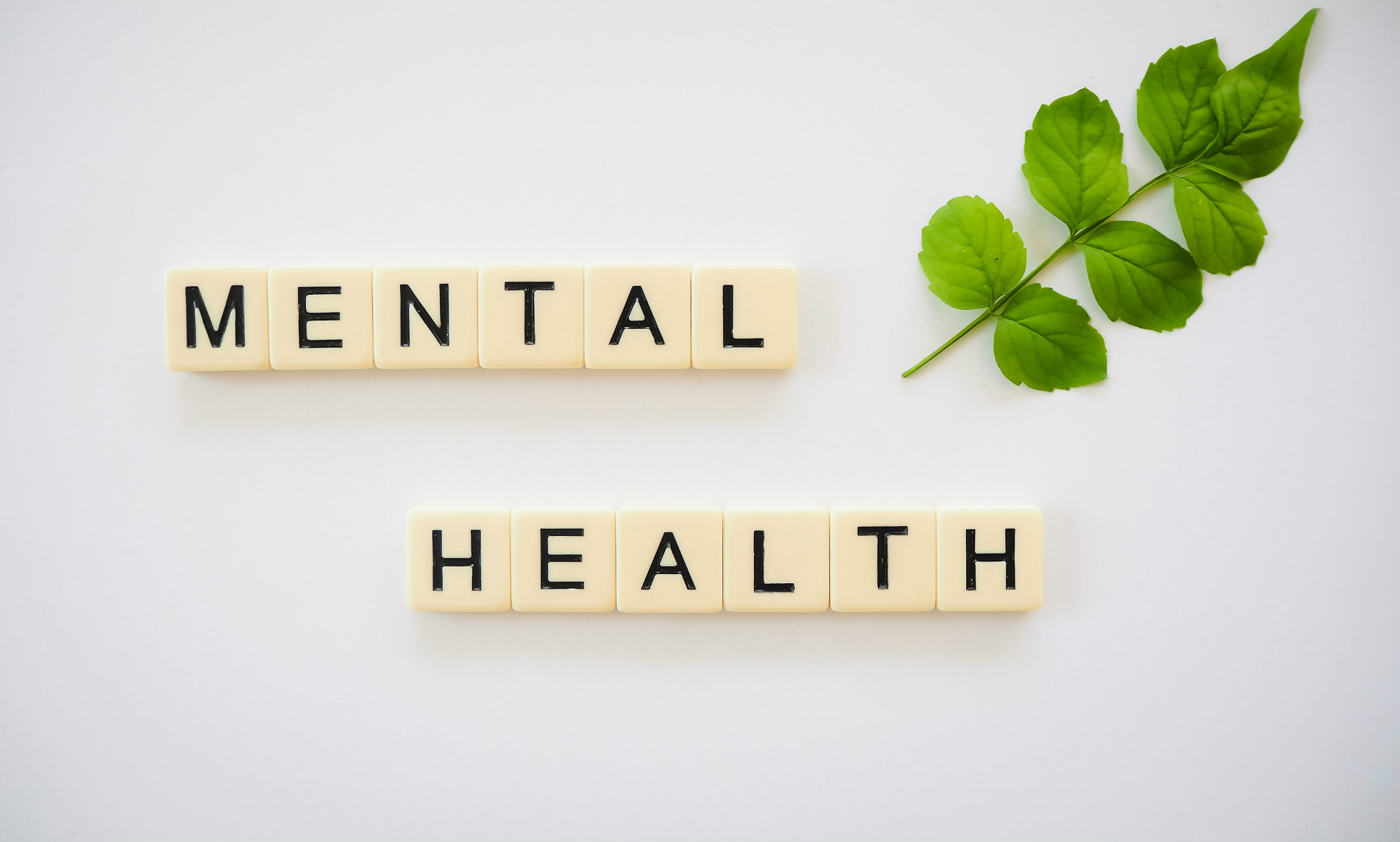 Scrabble tiles that make up the words Mental Health on a cream background, green leaf to the right of the tiles
