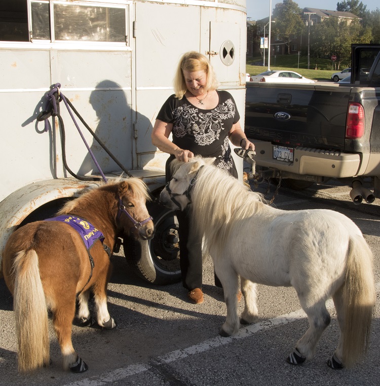 Sharon White-Lewis with miniature therapy horses