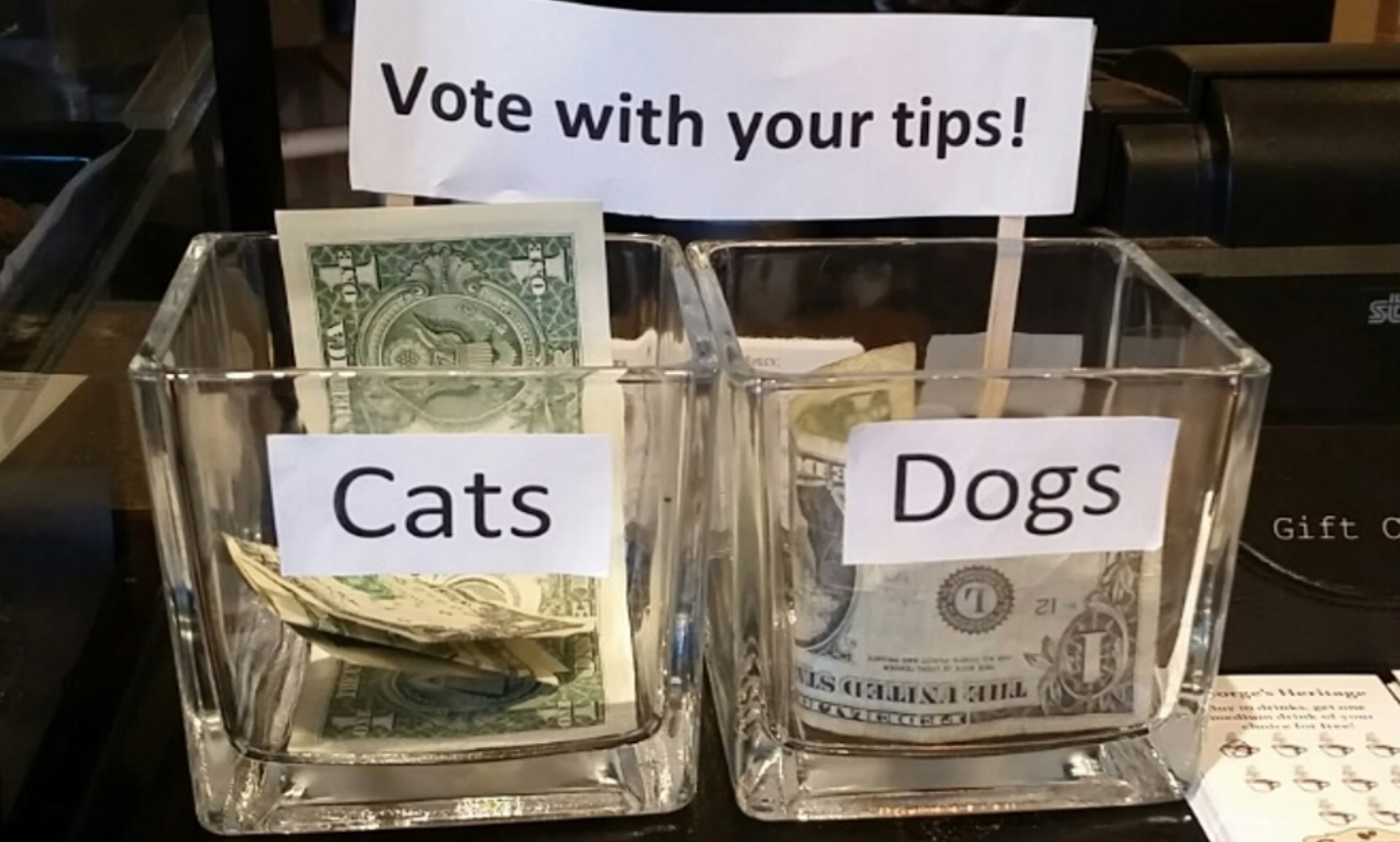 Picture of two tip jars; one says Dogs and the other says Cats
