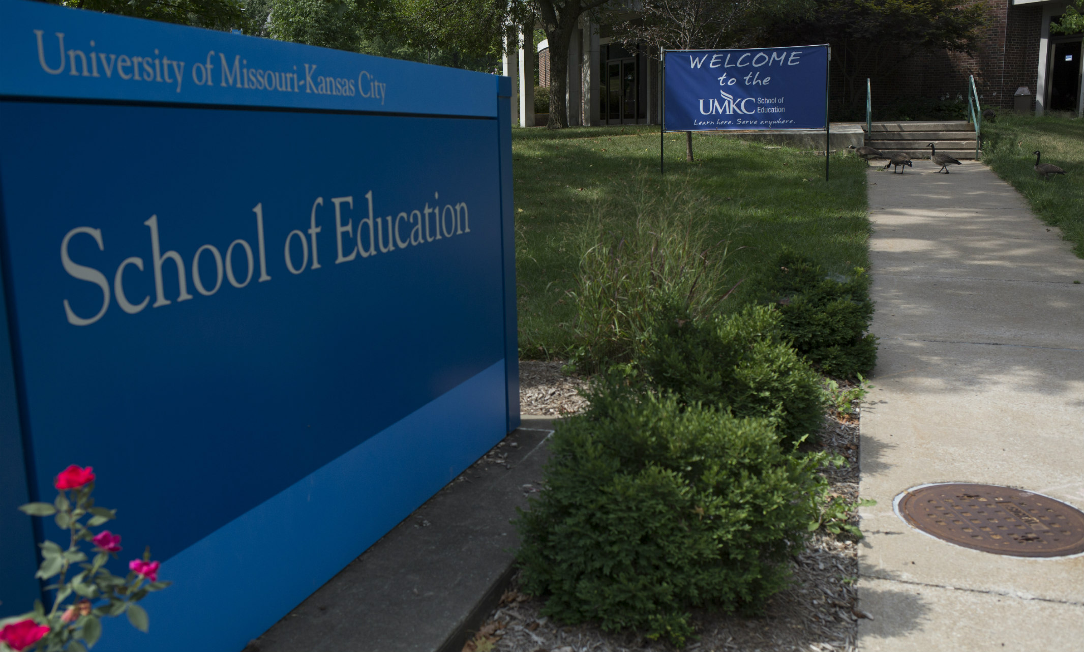 photo of School of Education sign with floral landscaping