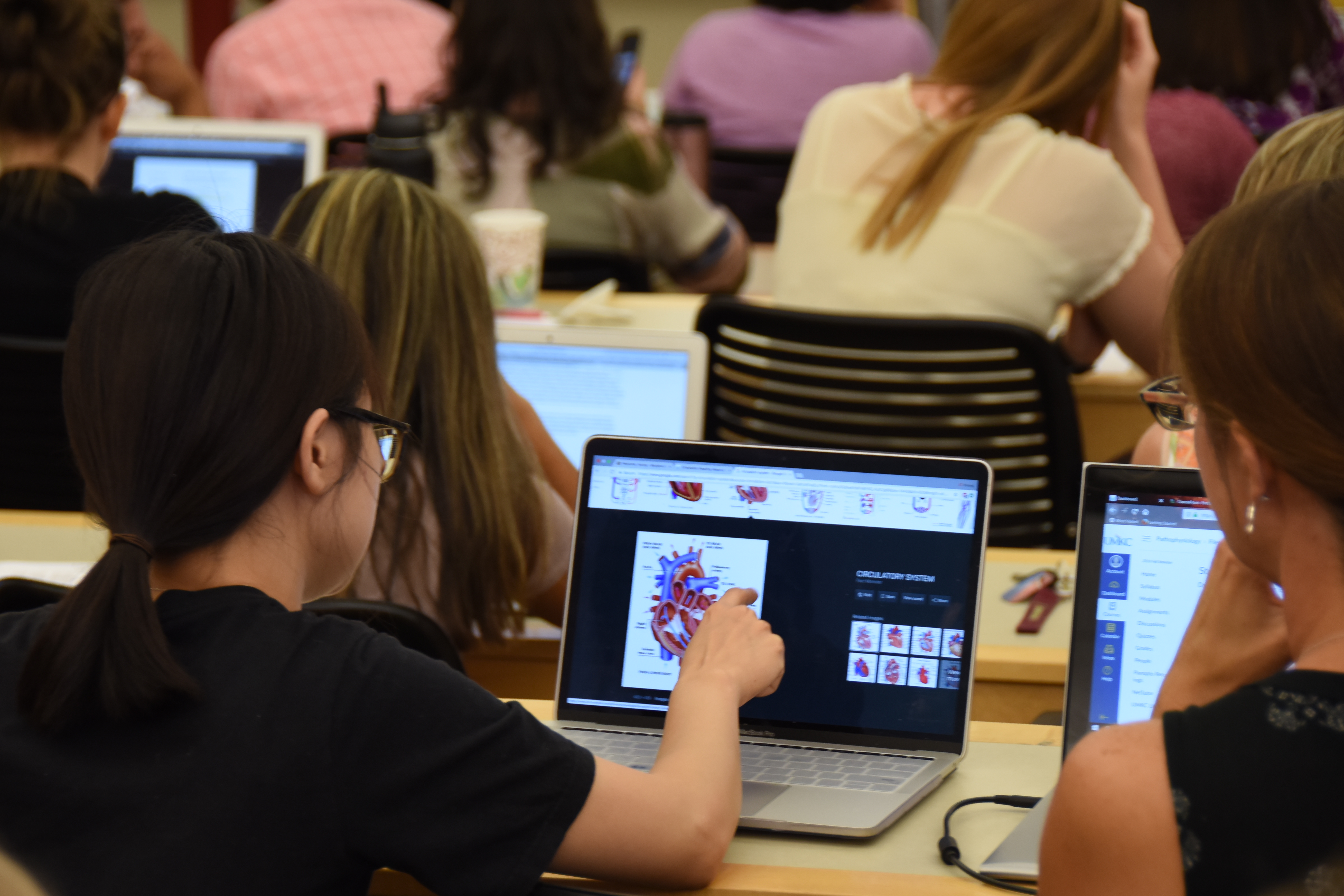 Nursing students viewing anatomy of human heart on computer screen