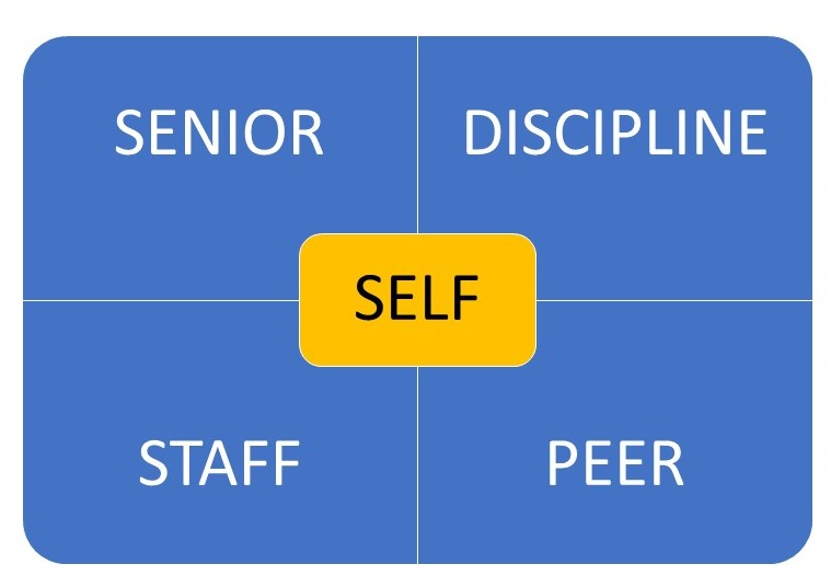 a graphic of a matrix with 4 quadrants senior, discipline, peer, and staff. A box with the word self is in the middle. 