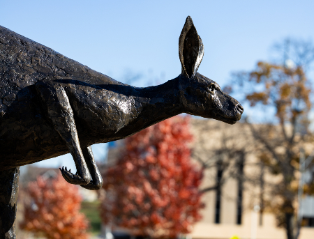 Close up of a bronze roo statue on campus during fall.