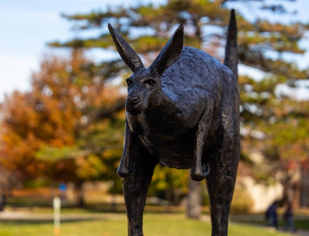 UMKC's campus Roo statue taken on a fall day with trees behind the statue